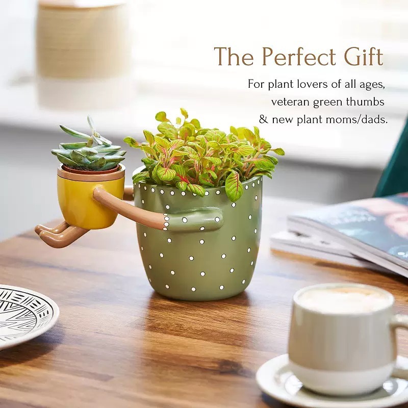 Doniczka z żywicy dla rodziców – Plant Parent Pot recenzja i cena